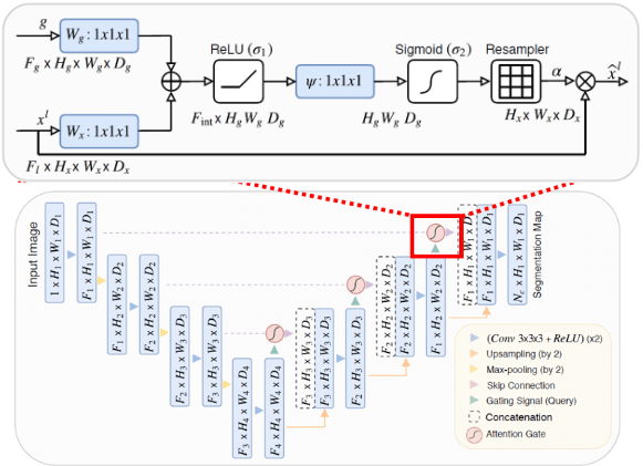 Schematic overview of a U-Net model with attention gates added to the skip-connections. The inset (top) shows a zoomed-in view of an attention gate, the gating signal g is taken from the previous decoding layer and the input x^l is the skip-connection layer. Figure reproduced from 