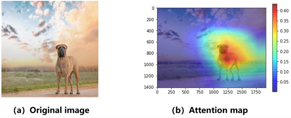 Example image from an attention-based network trained to label images. Image a shows a picture of a dog which the network needs to label and image b shows the attention map which is the value of \alpha per pixel.  Figure reproduced from 